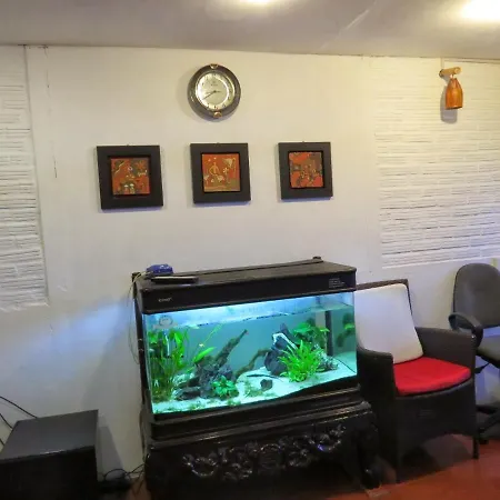 Capsule Hanoi Hostel
